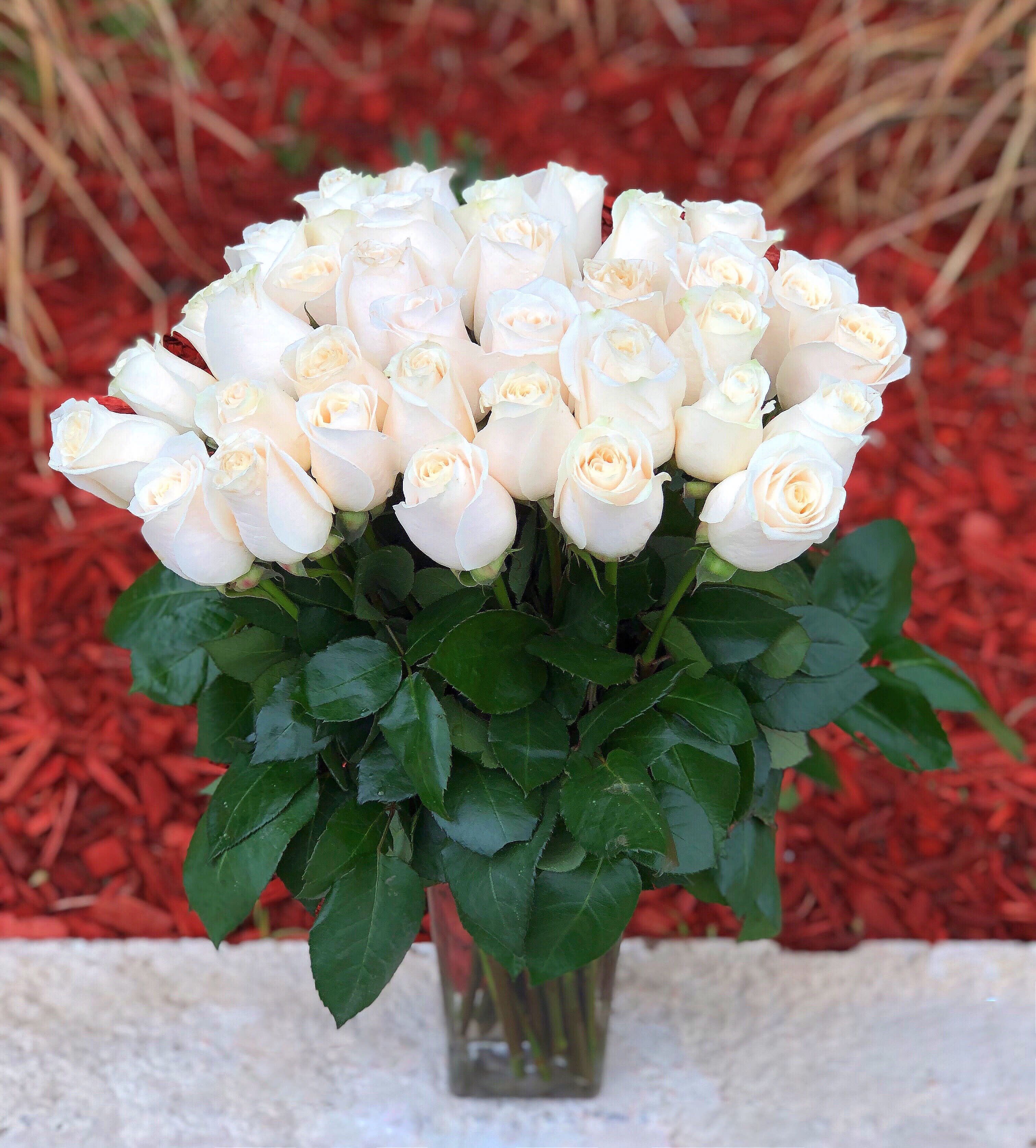 Bouquet of white roses in a clear glass vase