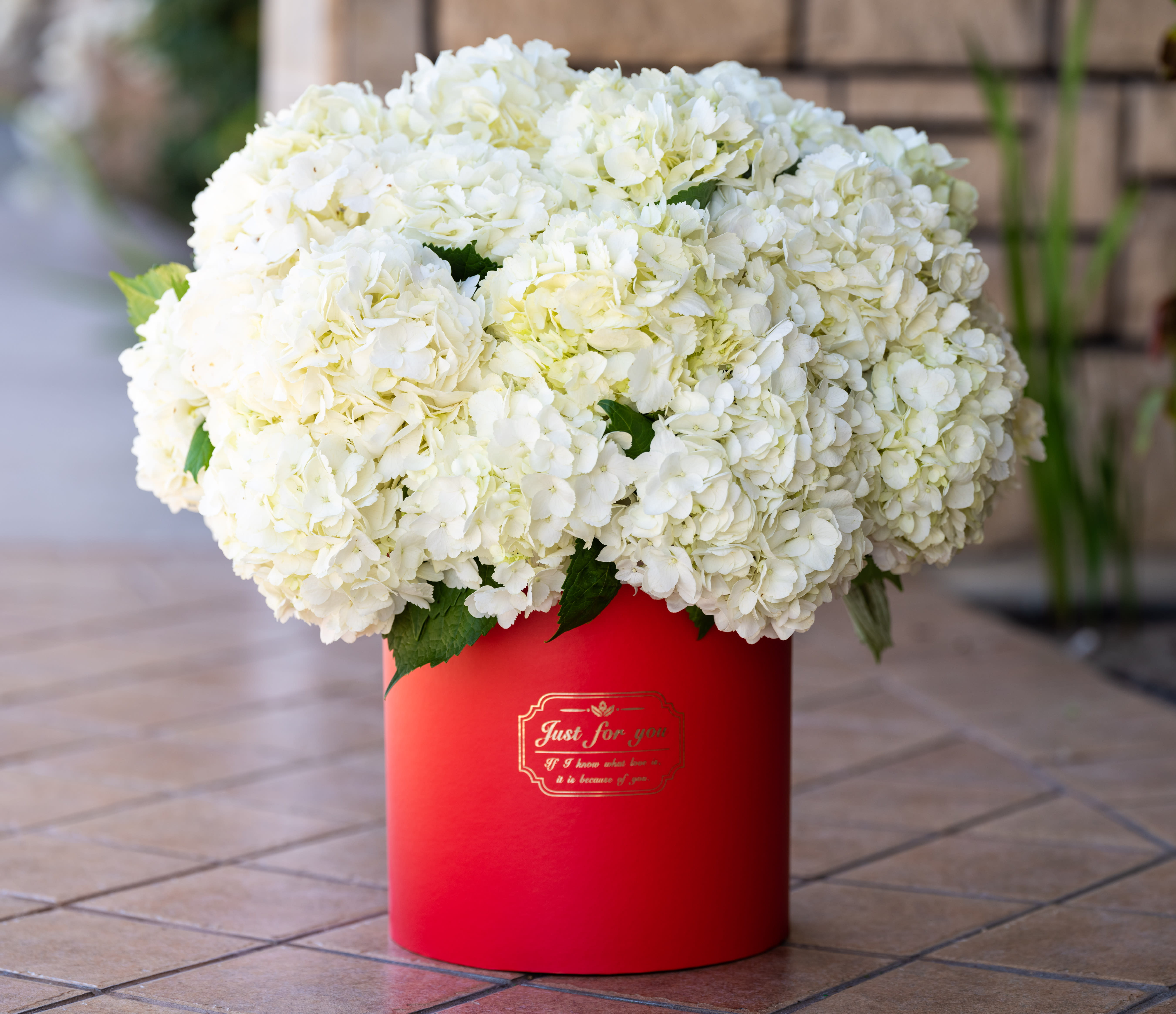 White hydrangea bouquet in a red cylindrical box