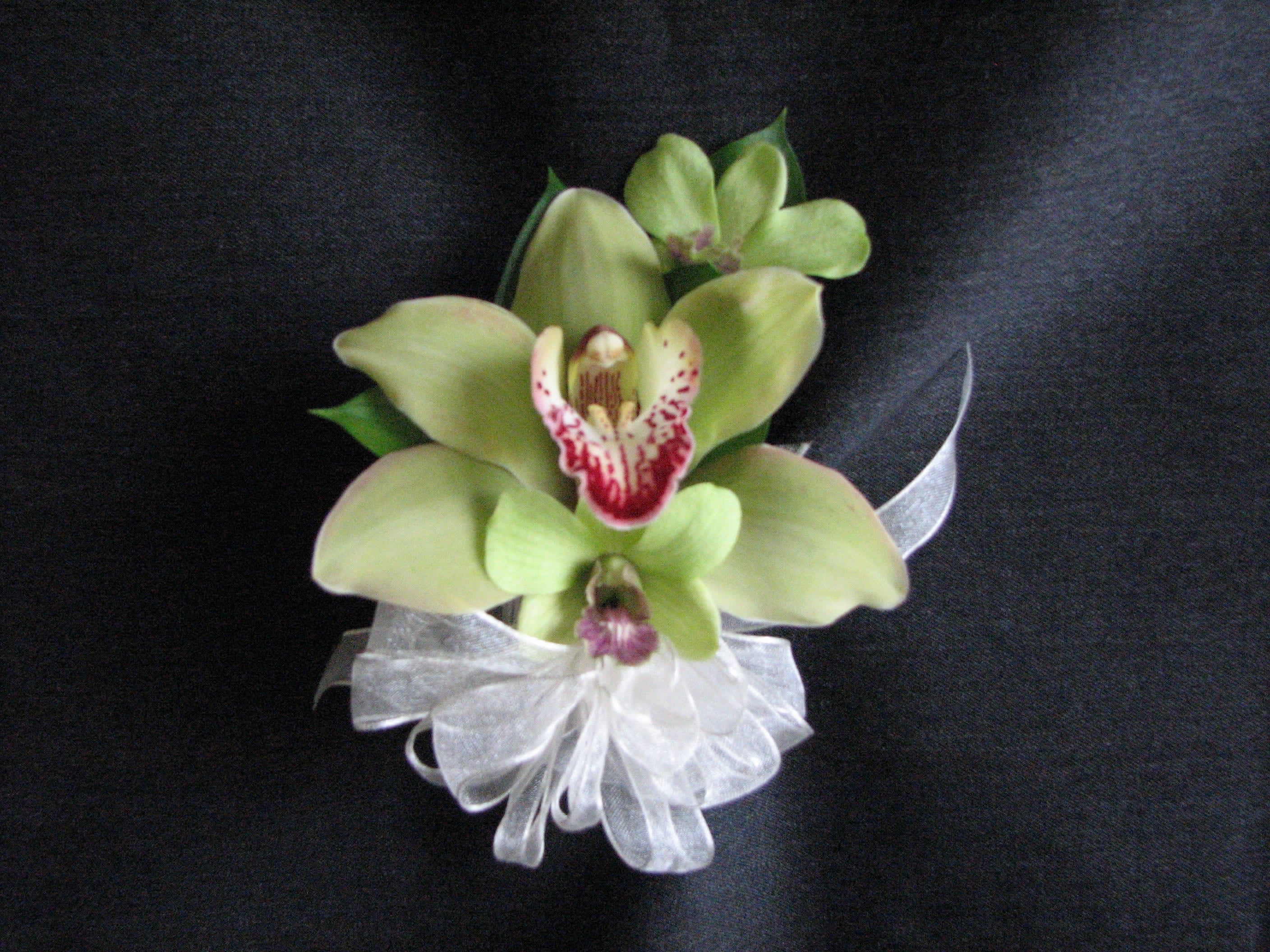 Green orchid corsage with a white ribbon bow