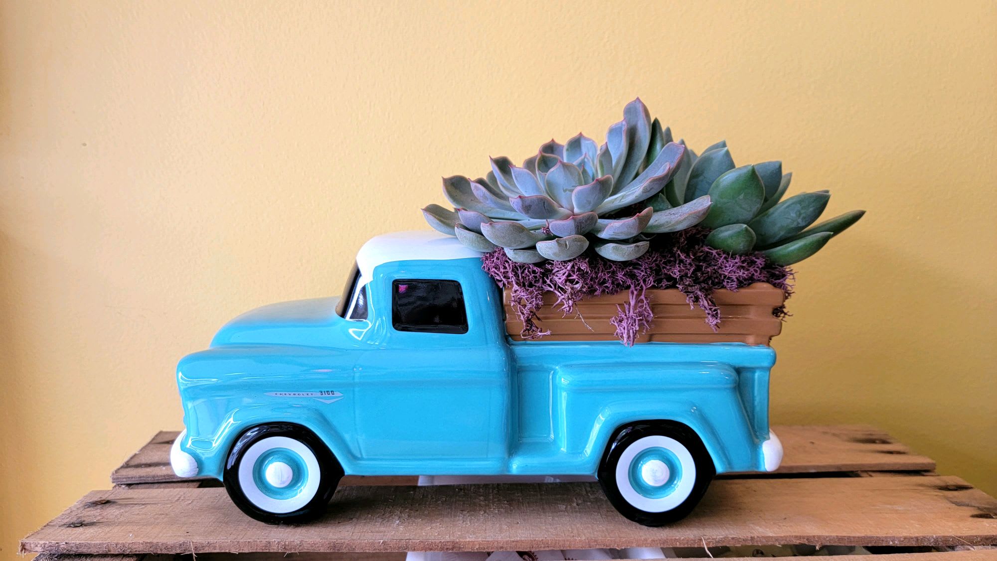 Blue toy truck planter with succulents and purple moss