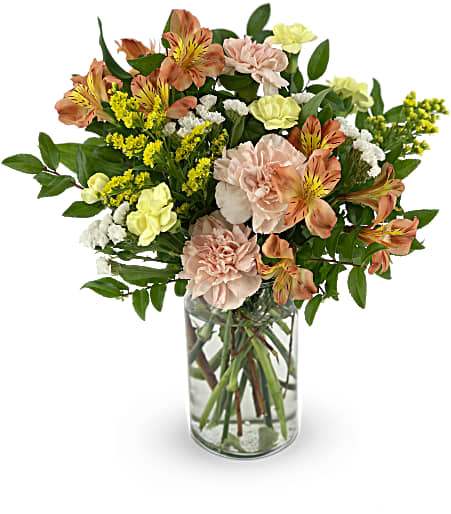 Serene Sunset Pet Friendly Bouquet - A beautiful bouquet including carnations, alstroemeria and aster in a clear vase.  This Pet-Friendly Option is an exclusive partner bouquet brought to you from your Teleflora Member Florist Moss Flower Shop and Chewy.