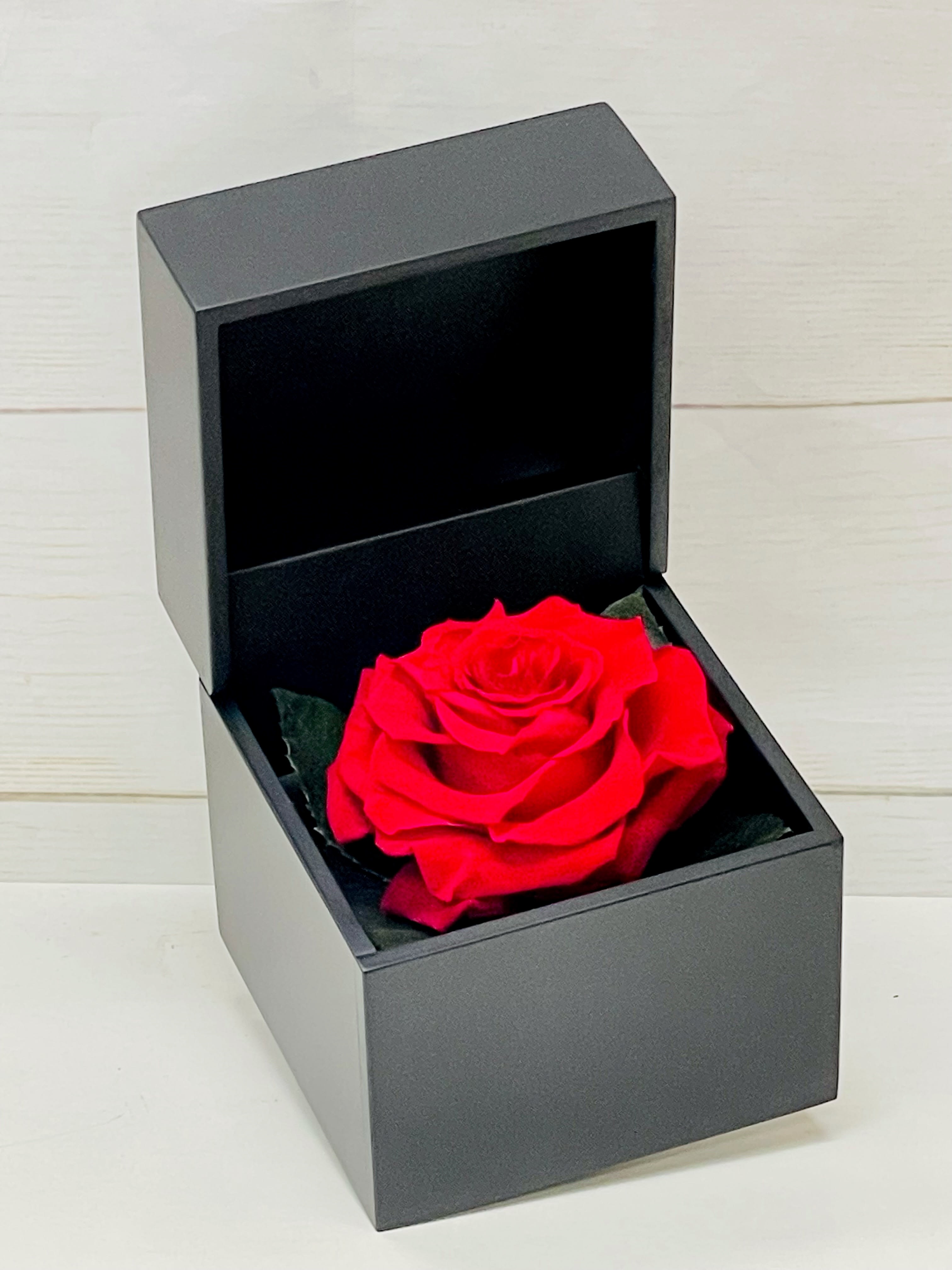 Single red rose displayed in an open black gift box