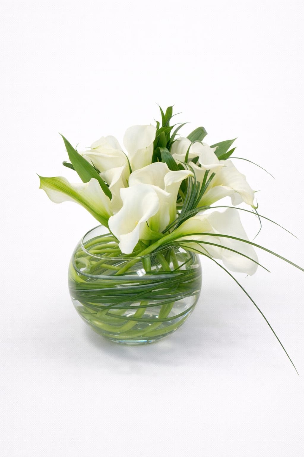 White calla lilies arranged in a round glass vase