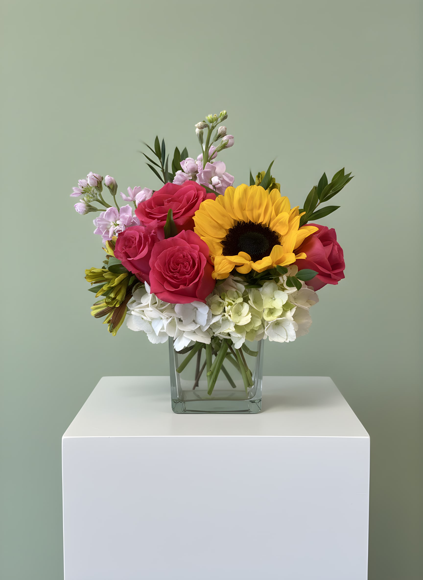 Solara - Solara is a bright and cheerful floral arrangement designed in a classic 4x5 glass cube vase. This vibrant design features radiant sunflowers, premium hot pink roses, delicate stock, white hydrangea, and seasonal accents, creating a fresh garden-inspired look that is perfect for birthdays, get well wishes, thank you gifts, anniversaries, or simply brightening someone's day.  Handcrafted by the designers at All Occasions Florist in Dallas, Texas, Solara brings together bold color and timeless elegance in a compact design that fits beautifully on desks, kitchen counters, hospital rooms, and bedside tables. Whether you're sending flowers to a loved one, celebrating a special occasion, or surprising someone just because, this arrangement delivers warmth and happiness with every bloom.  All Occasions Florist proudly offers same-day flower delivery throughout Dallas, Highland Park, University Park, Uptown, Oak Lawn, Preston Hollow, and surrounding communities. Solara is a customer favorite for flower delivery to homes, offices, hospitals, hotels, and special events across the Dallas area.  Please note that flower varieties may vary slightly based on seasonal availability while maintaining the overall color palette and style of the arrangement.