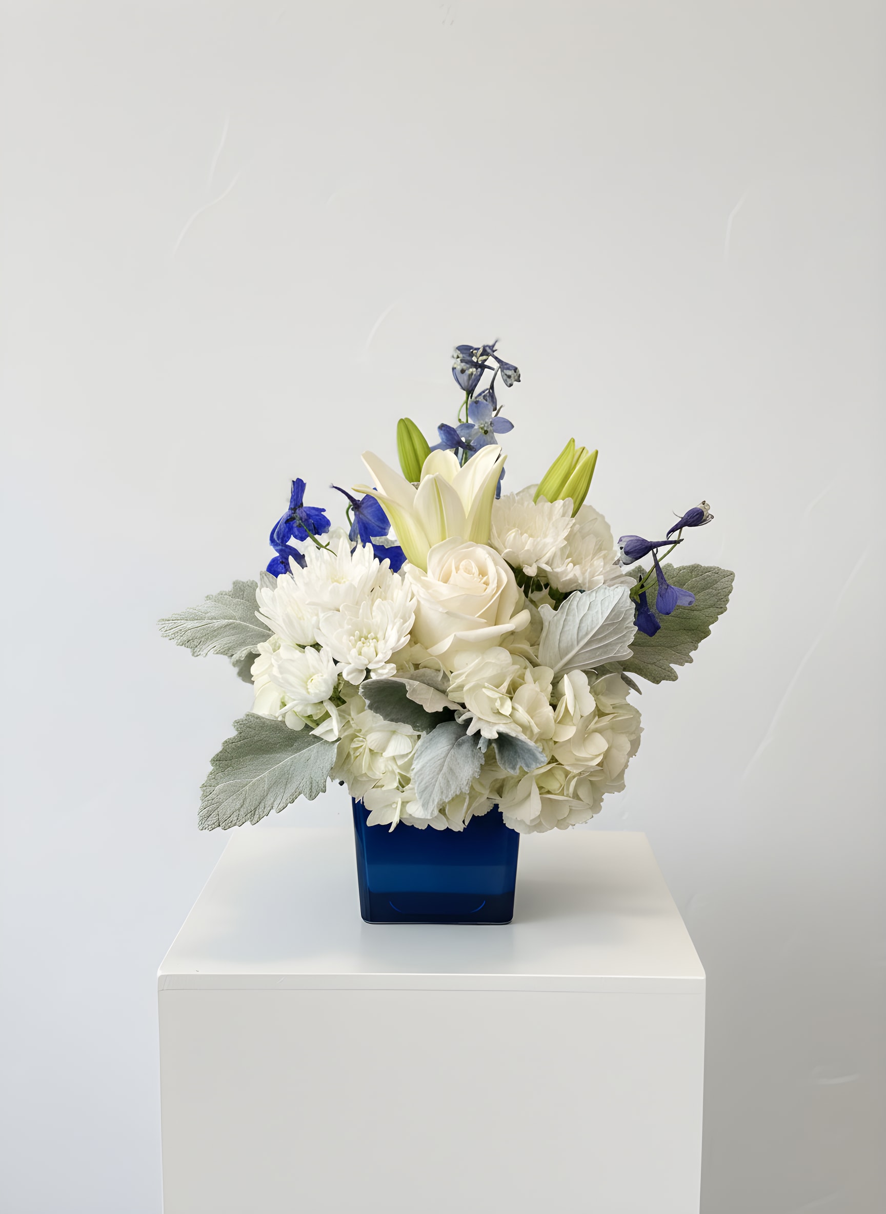 Cowboys - Cowboys is a fresh blue and white flower arrangement designed in a modern 4x5 cobalt blue glass cube. Featuring elegant white hydrangea, roses, lilies, cushion mums, soft silver dusty miller, and accents of vibrant blue delphinium, this striking design brings together classic beauty with a touch of Texas spirit.  Perfect for birthdays, celebrations, get well wishes, sympathy gifts, anniversaries, or sending encouragement, Cowboys is a customer favorite for anyone who loves blue and white flowers. Its timeless color palette makes it suitable for both men and women and complements any home, office, or hospital room.  Handcrafted daily by All Occasions Florist in Dallas, Texas, this premium arrangement is available for same-day flower delivery throughout Dallas, Highland Park, University Park, Uptown, Preston Hollow, Richardson, Plano, Irving, and surrounding communities. Whether you're sending flowers for a special occasion or simply brightening someone's day, Cowboys delivers fresh, elegant blooms with unforgettable style.  Order Cowboys online today for reliable flower delivery in Dallas and experience the beauty of professionally designed fresh flowers from a trusted local florist.