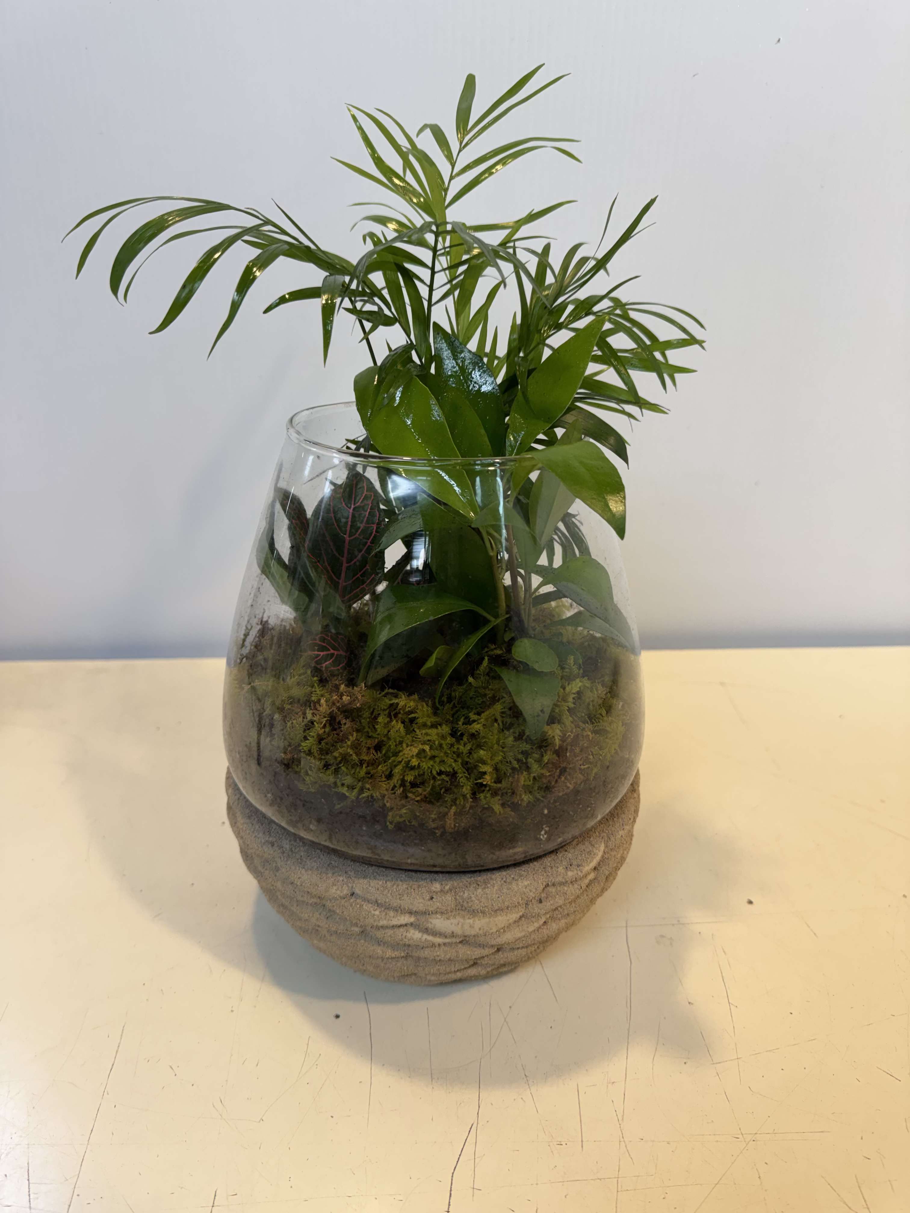 Lush Life Terrarium - A lush mini garden in glass. This mixed plant terrarium features vibrant greenery and natural moss, creating a fresh, modern look. Easy to enjoy and perfect for adding a touch of nature to any space. 