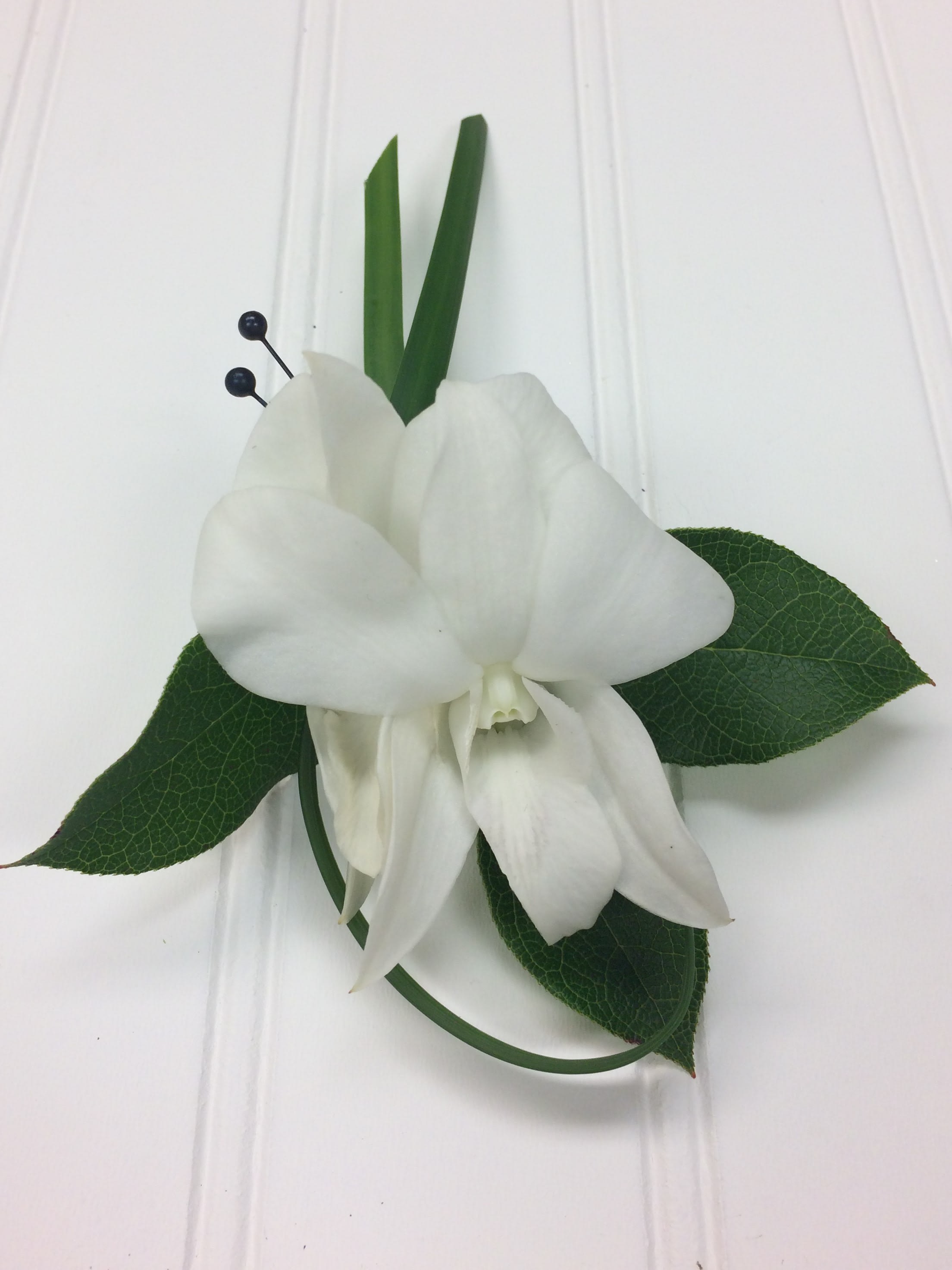White orchid corsage with green leaves and black berry accents