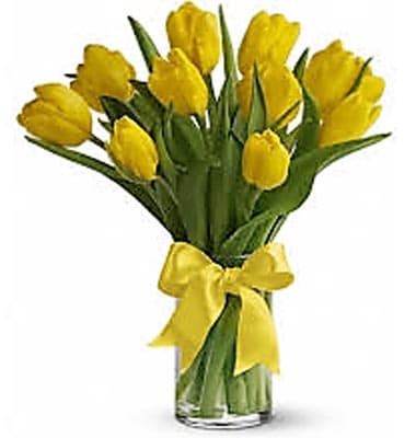Vase of bright yellow tulips tied with a yellow bow