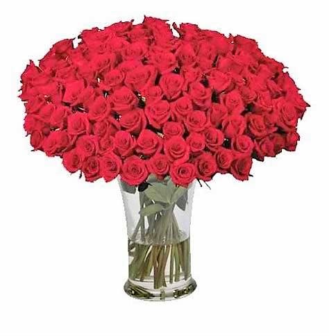 Large arrangement of red roses tightly packed in a tall clear glass vase