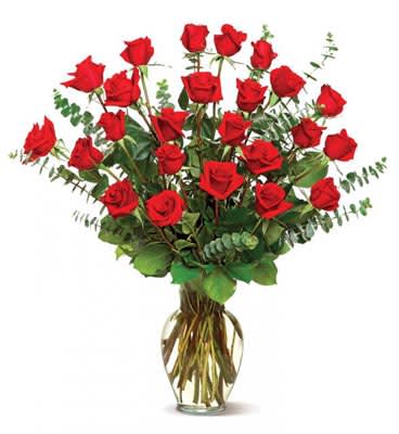 Tall arrangement of long-stemmed red roses with eucalyptus in a clear glass vase