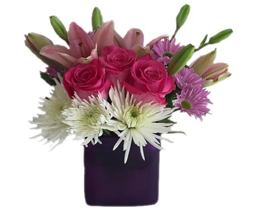 Compact arrangement of pink roses, lilies and white mums in a purple cube vase