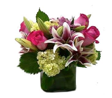 Compact arrangement of pink roses, lilies, and green hydrangea in a square glass vase