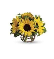 Low round arrangement of yellow sunflowers in a clear glass bowl vase