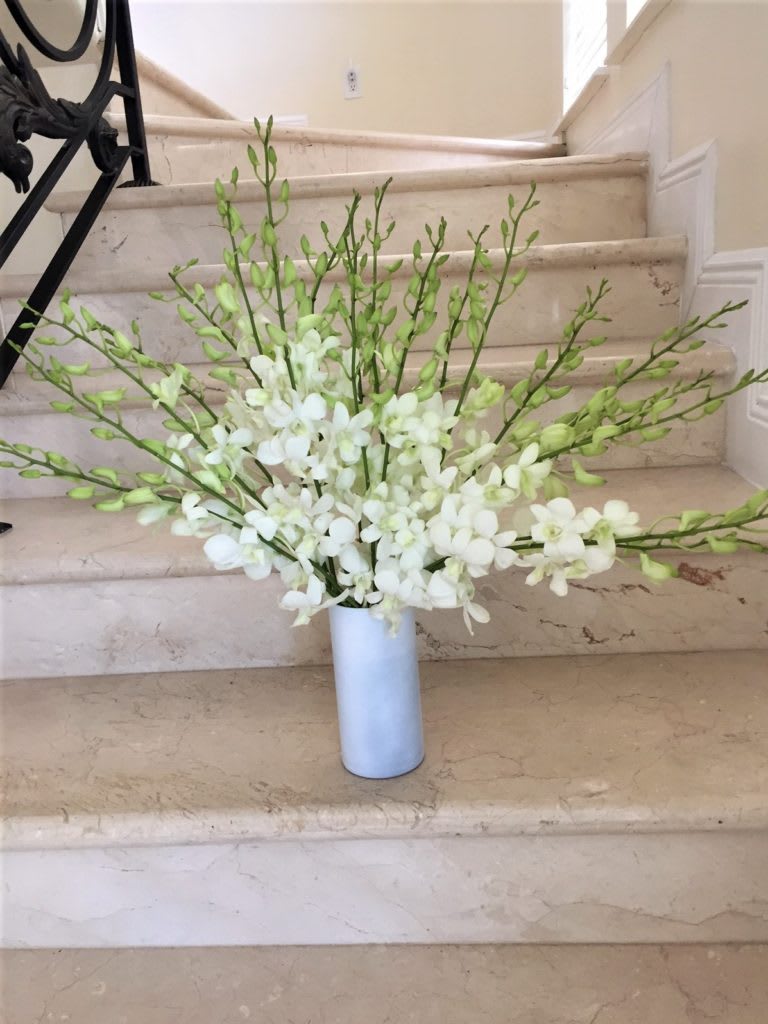 Tall arrangement of white orchids with green buds in a slim white cylinder vase on stone steps