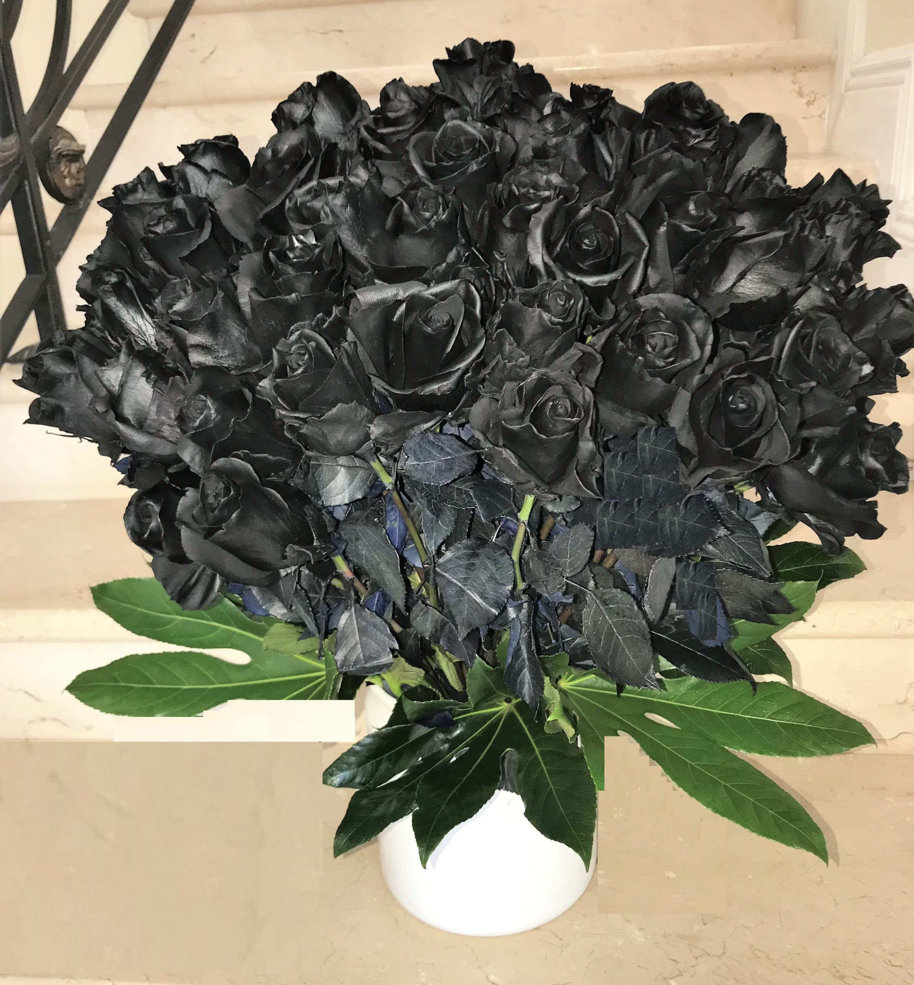 Bouquet of black roses in a white vase