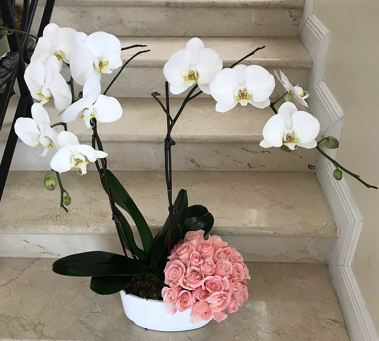 2 Orchids arranged with 12 Pink Roses in a ceramic container. - 2 Orchids arranged with 12 Roses in ceramic container, STANDARD. 2 Orchids arranged with 18 Roses, in ceramic container, DELUXE. with more Decorations. 2 Orchids arranged with 24 Roses, in a ceramic container, PREMIUM. with much more Decorations. Beautifully designed on a Premium ceramic vase.