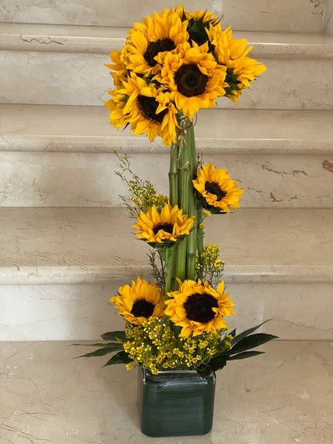 Sunflowers Topiary with 10 Sunflowers nicely arranged. - Sunflowers Topiary with 10 Sunflowers nicely arranged. Deluxe has 15 Sunflowers. Premium has 20 Sunflowers.