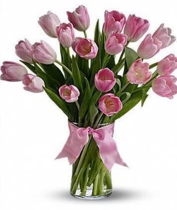 Tall vase of pink tulips with long stems, tied with a pink ribbon bow