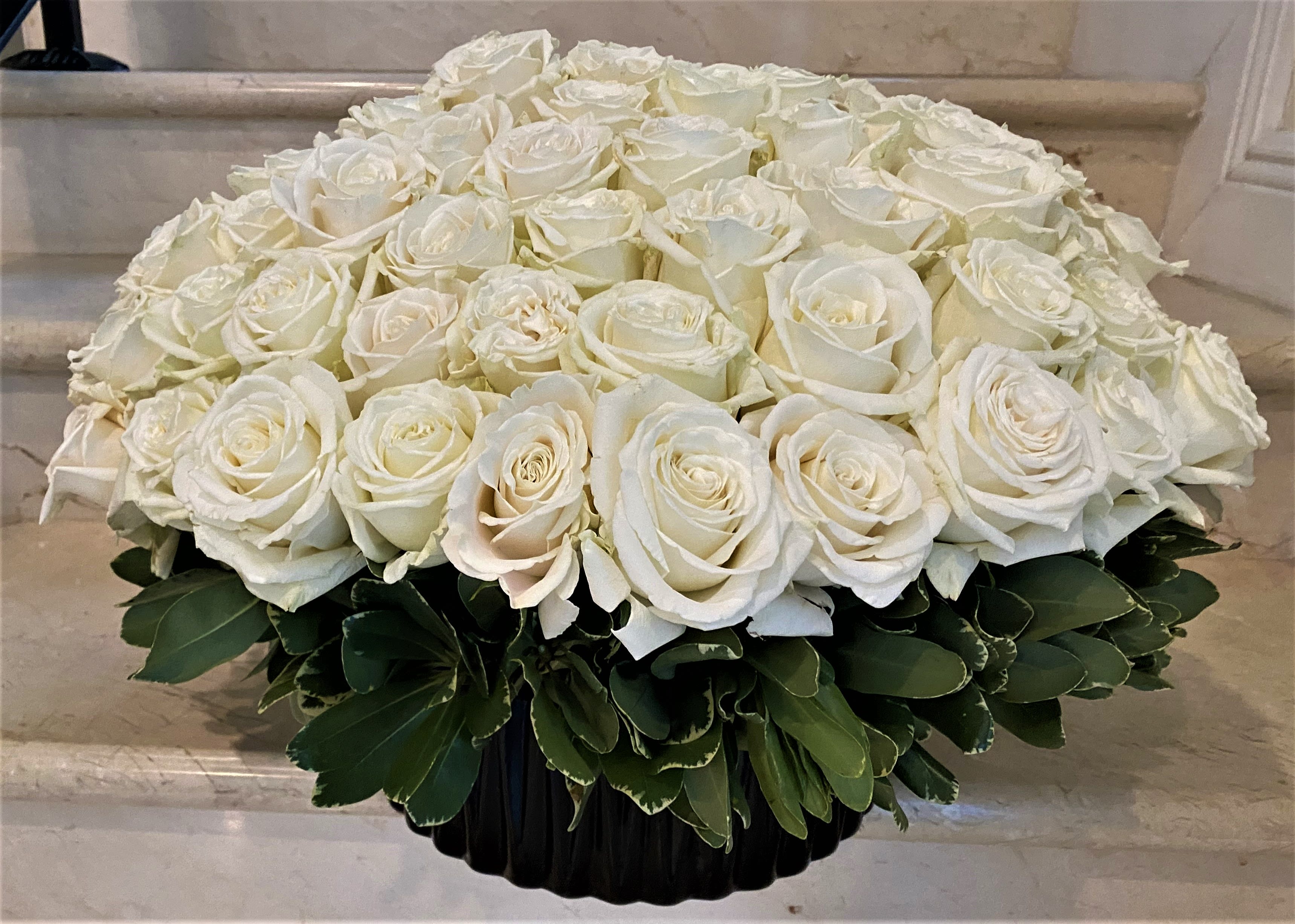 Low round arrangement of tightly clustered white roses in a black container