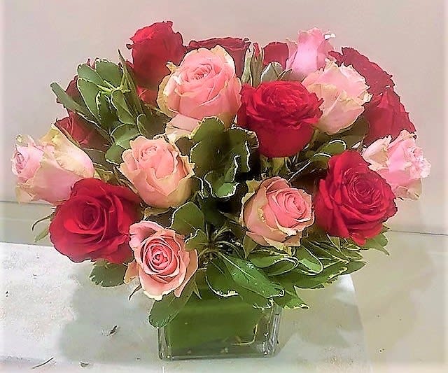 Short arrangement of red and pink roses in a clear glass cube vase