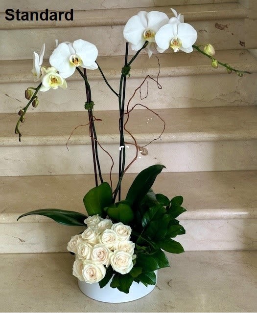 White phalaenopsis orchids with a cluster of ivory roses in a low white bowl