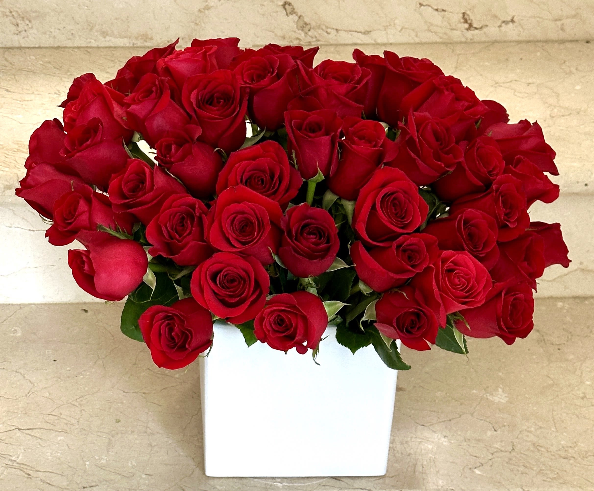 Red roses arranged in a white square vase