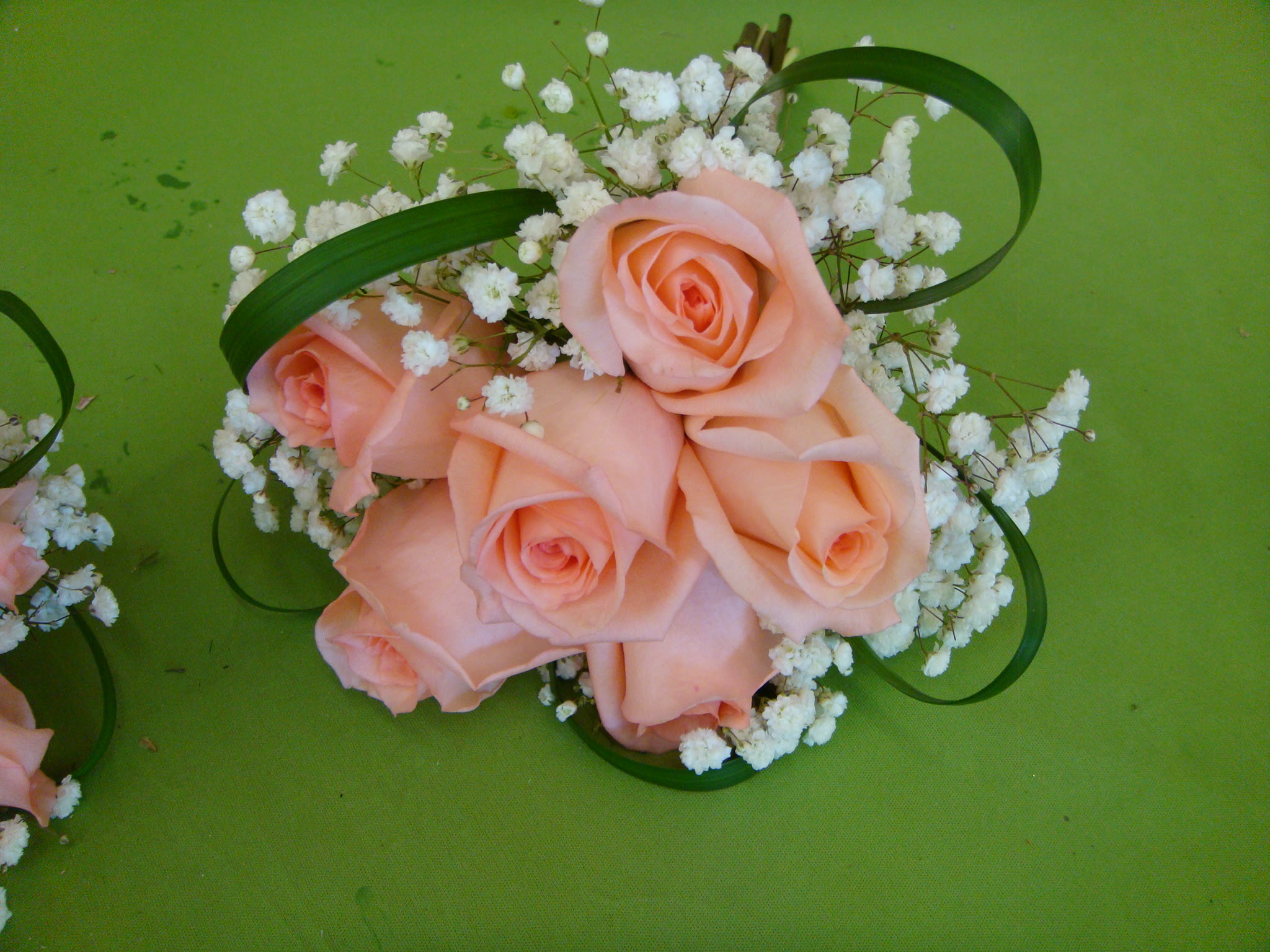 Peach roses with white baby's breath on a green background