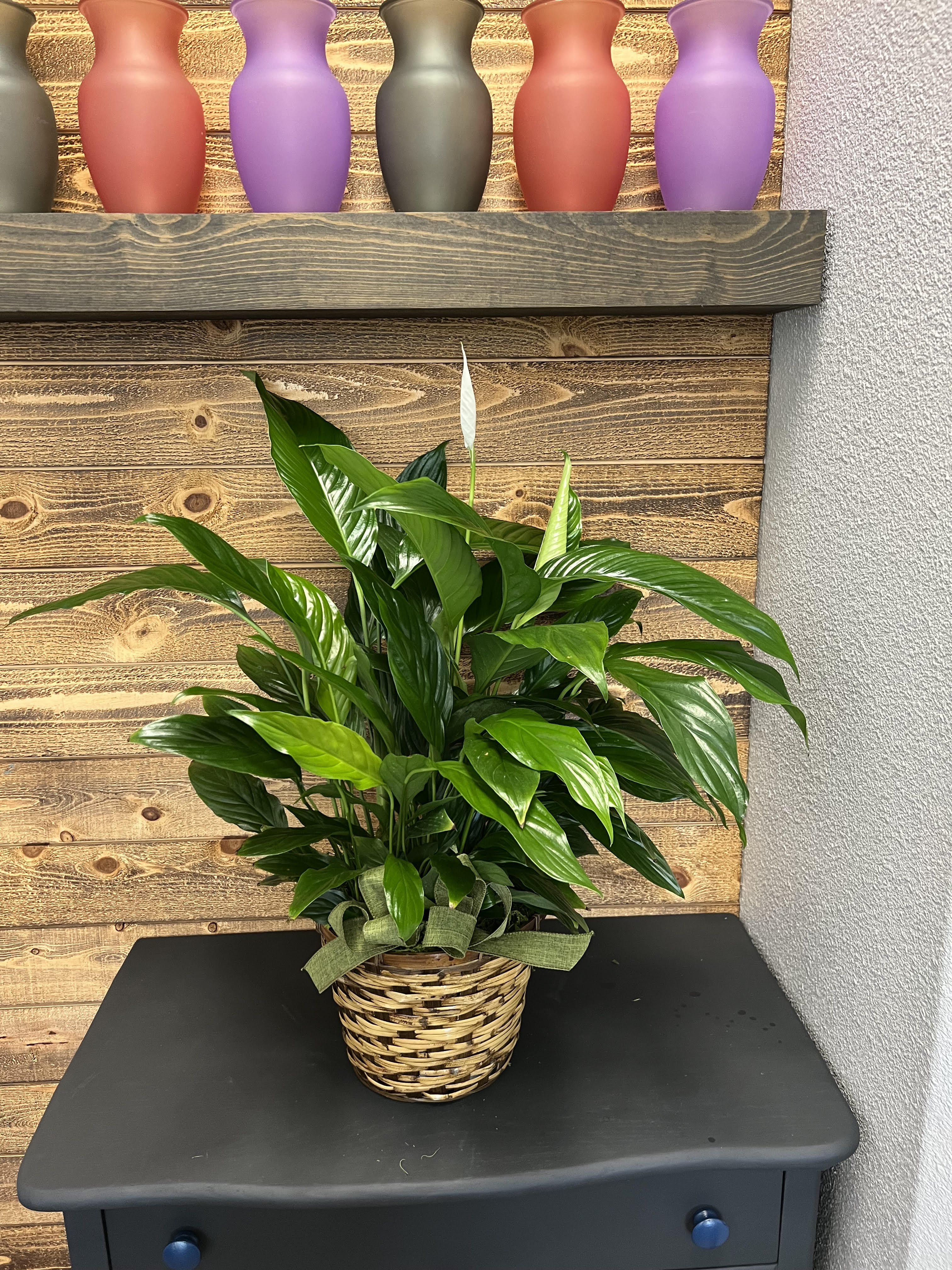 Potted peace lily in a woven basket with a white bloom