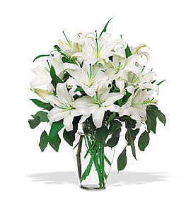 White lilies arranged in a clear glass vase