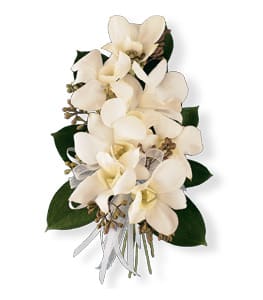 White orchid bouquet with dark green leaves and a white ribbon