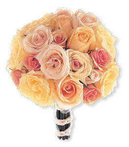 Bouquet of peach and pink roses wrapped with ribbon