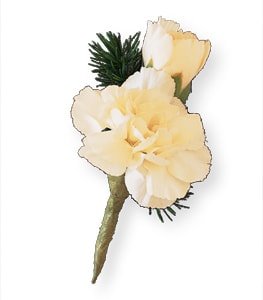 Cream carnation boutonniere with dark green filler