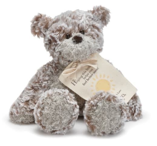 Plush teddy bear holding a small gift tag