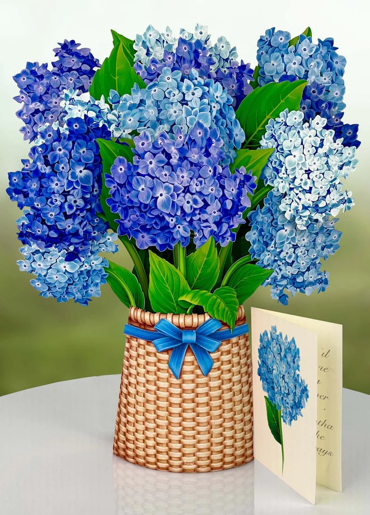 Nantucket Hydrangeas- Fresh Cut Paper Pop-Up Bouquet - Stunning paper floral bouquet pops open and brings color to any room. Note: card included- handwritten message upon request. No watering needed. Send some love!