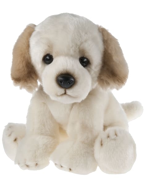 Plush puppy with cream fur and tan ears sitting on a white background