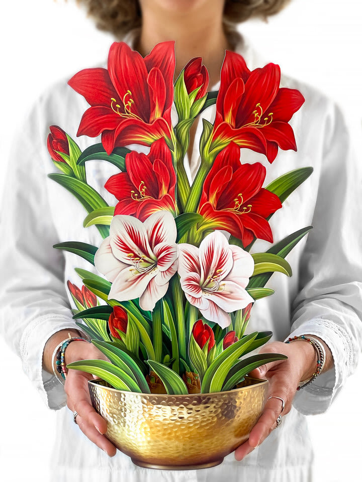 Scarlet Amaryllis Pop-Up Bouquet - Stunning paper floral bouquet pops open and brings color to any room. Note: card included- handwritten message upon request. No watering needed. Send some love!