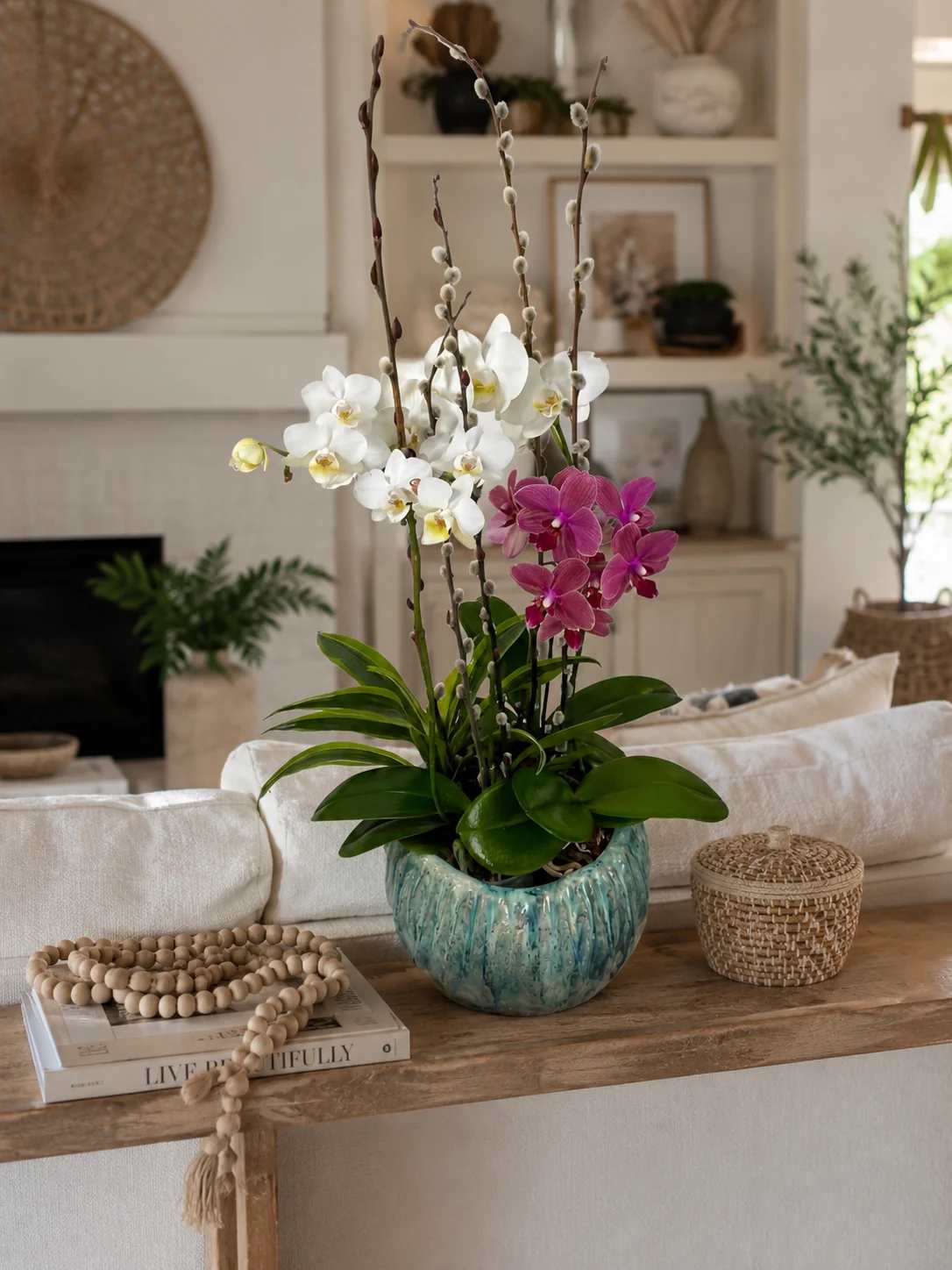 Potted orchid arrangement with white and magenta blooms in a blue ceramic planter
