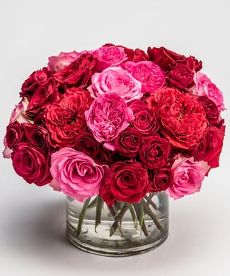 Bouquet of pink and red roses in a clear glass vase