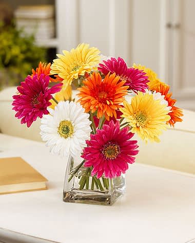 Bouquet of colorful gerbera daisies in a clear glass vase