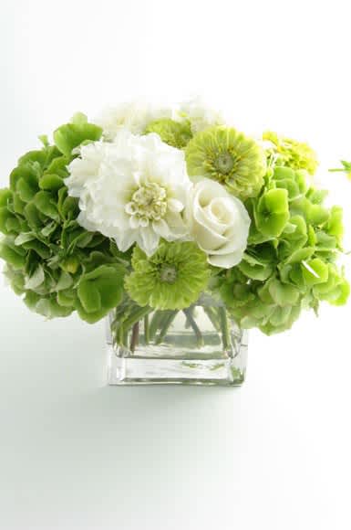 Green and white bouquet in a clear square vase