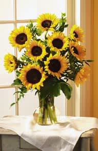 Bouquet of sunflowers in a clear glass vase