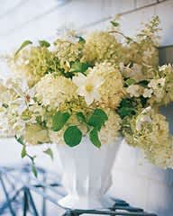 White floral arrangement in a tall white vase