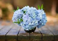 Blue hydrangea bouquet in a small vase on a wooden table