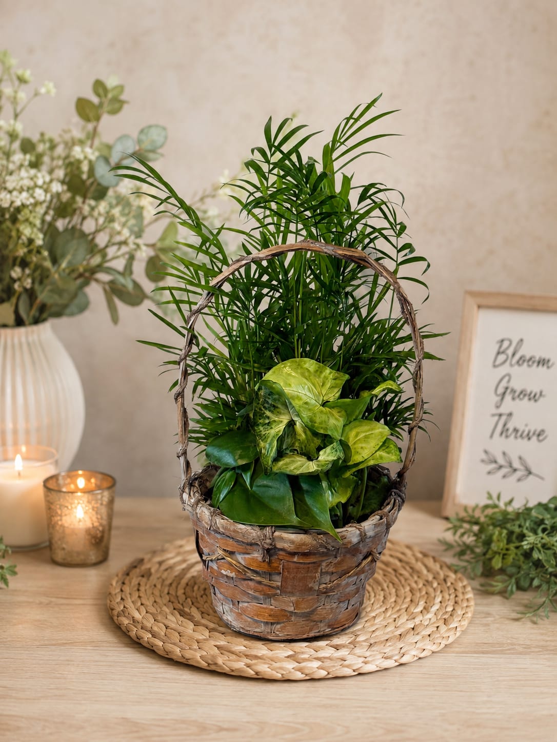 Basket of green houseplants on a woven mat