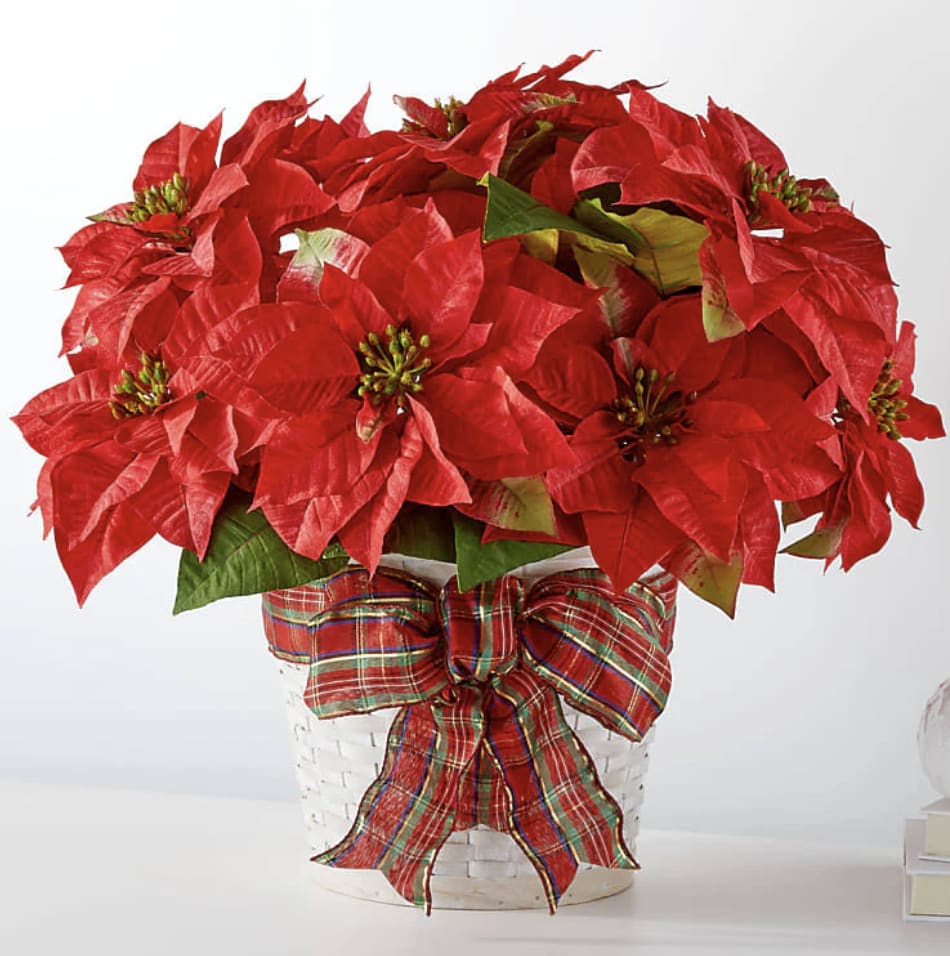 Poinsettia - Poinsettias make any home feel ready for the holidays with their classic, bold red flowers and green leaves. Each live plant comes tied with a festive ribbon. Details Includes basket and holiday ribbon. Deluxe Poinsettia is approx. 8" in diameter. Pet Safety Precautions: This bouquet or plant may include flowers and foliage that are known to be toxic to pets. To keep them safe, be sure to keep this arrangement out of your pet's reach. 