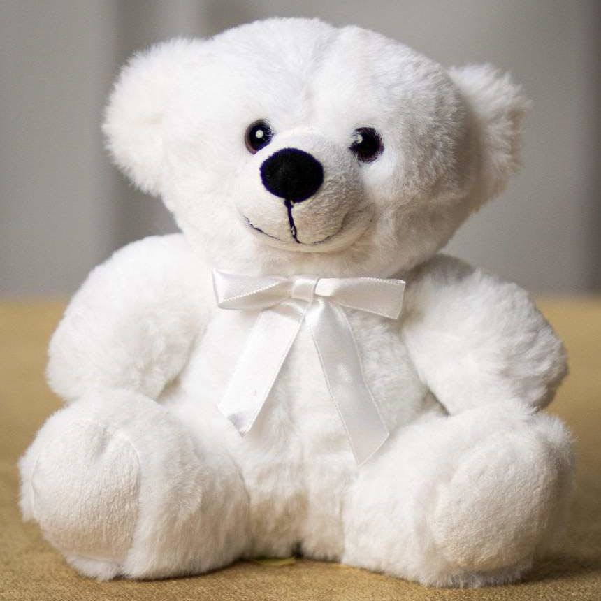 White teddy bear with a satin bow
