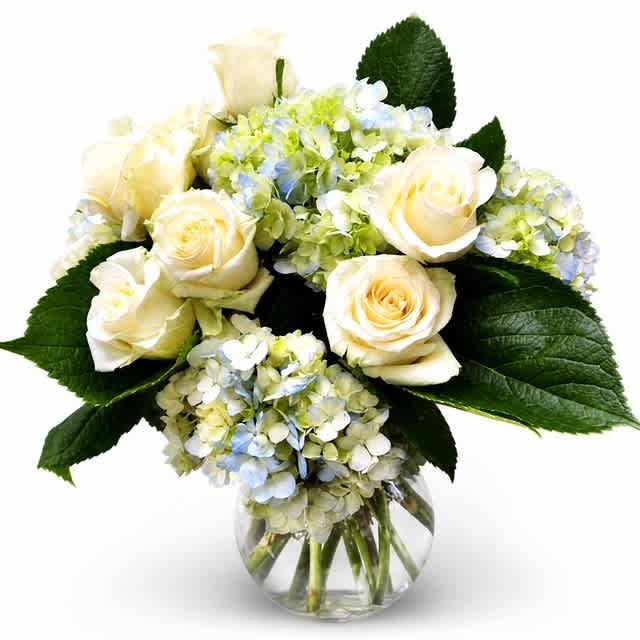 Cream roses and pale hydrangeas in a clear glass vase