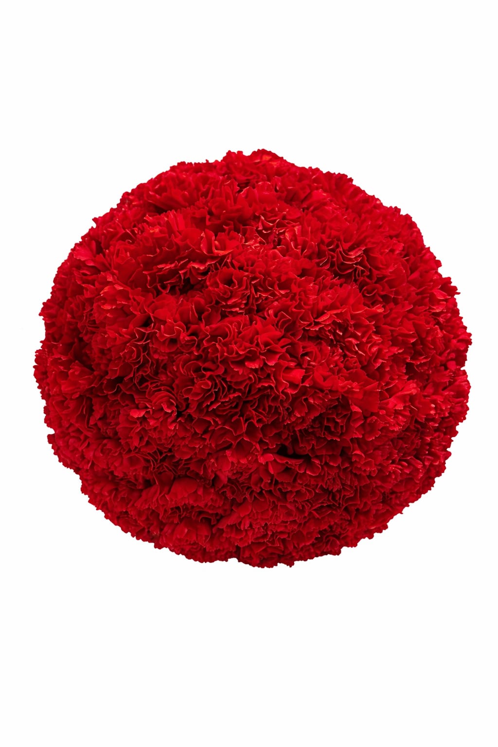 Modern Red velvet table globe - Over 100 carnation make this velvet modern look, can be made in pink, white and yellow, or mixed.