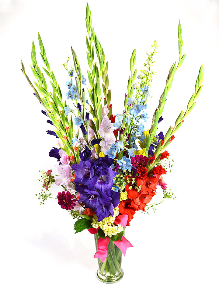 Summer Days - Our sensational and locally grown gladiolas are accented with delphinium, hydrangea and other garden accents, and displayed in our classic column vase and finished with French ribbon. (Gladiola colors will vary.)