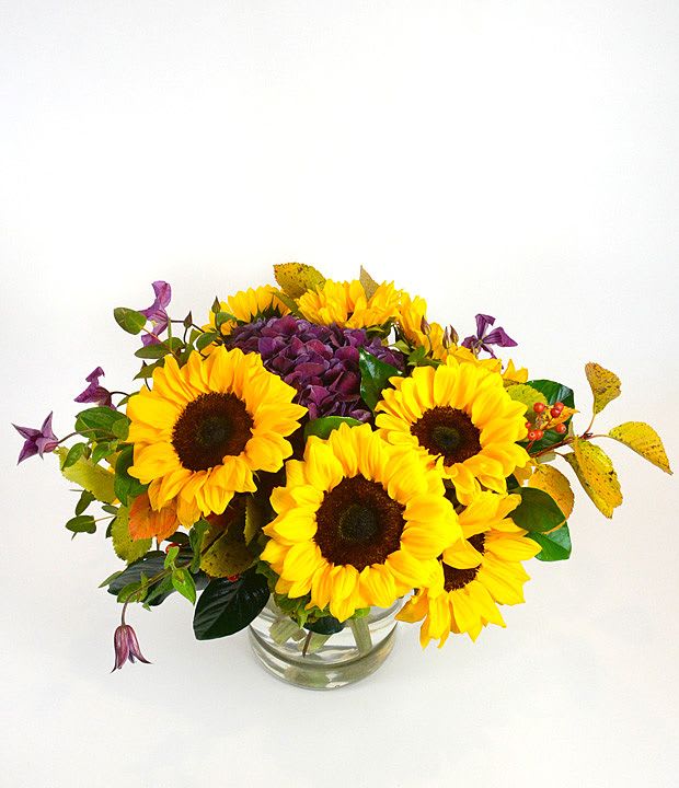 Golden Hour - Sunflowers and hydrangea gathered with clematis and mountain ash reminds us of the feel of the last rays of the day.
